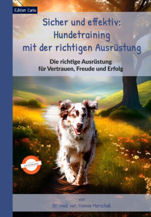 Sicher und effektiv: Hundetraining mit der richtigen Ausrüstung